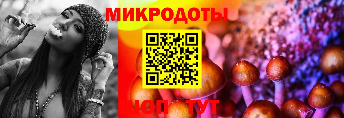 Псилоцибиновые грибы MAGIC MUSHROOMS  Вход с VPN  Мончегорск 